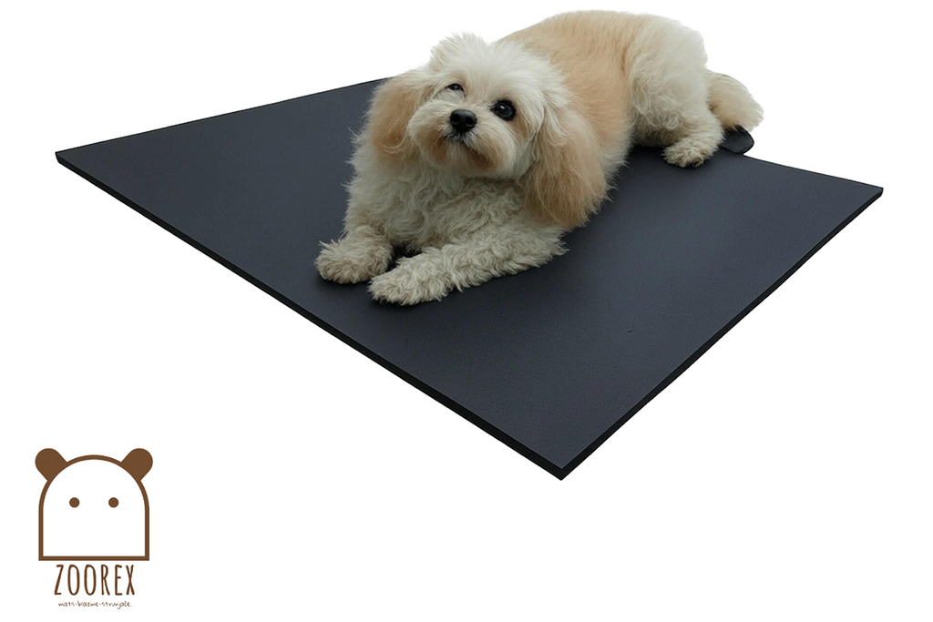 ZOOREX® Basic termo